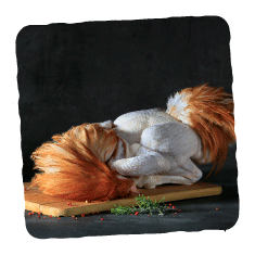 Le chapon de la Belvindière, pour vos repas de fêtes