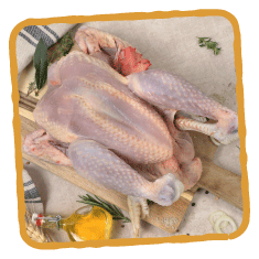 Le coq de la Belvindière