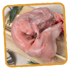 Le lapin de la Belvindière