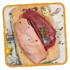 Magret de canard de la Belvindière