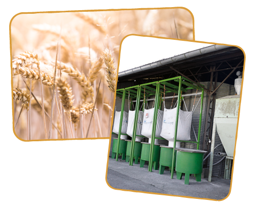La fabrication de l'aliment à la ferme, composé de céréales