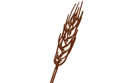 alimentation Les céréales